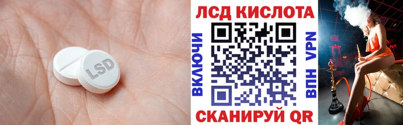 где купить наркоту  Грайворон  Лсд 25 экстази кислота 